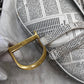 Dior limited edition rare Newspaper vintage small Saddle bag