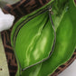 Pre-Owned Fendi Mamma Baguette Lizard x canvas Shoulder bag