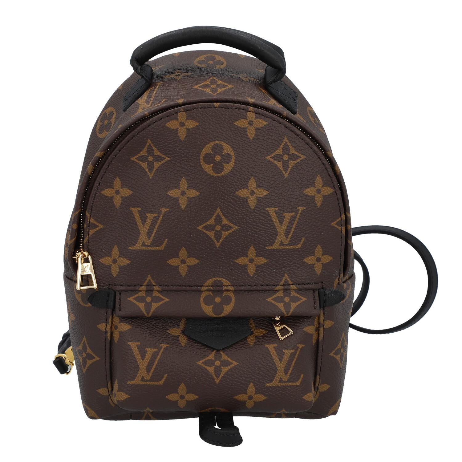Palm springs backpack Louis Vuitton Brown in Cotton - 30412855