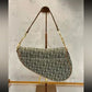 Pre-Owned Christian Dior vintage canvas green saddle bag